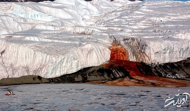 خارق العادهترین عجایب طبیعت + تصاویر خارق العادهترین عجایب طبیعت + تصاویر